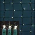 Winterland Winterland S-4X6MMWW-NG Led Warm White Net Light; 4 x 6 S-4X6MMWW-NG